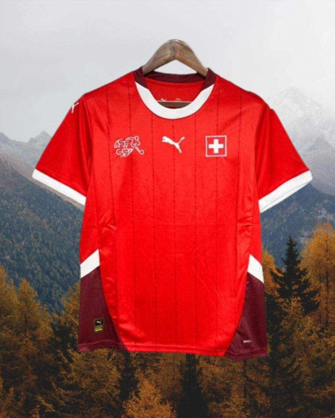 Maillot domicile Suisse